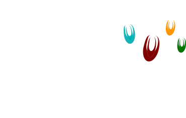 Nsenie